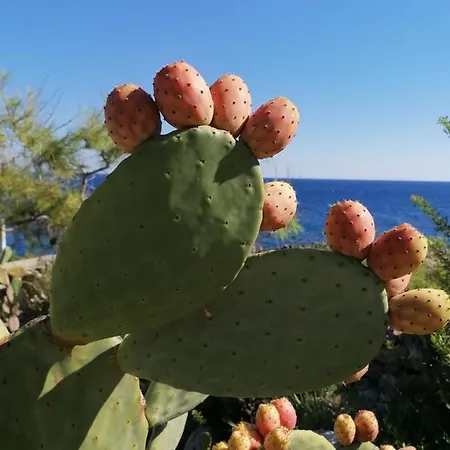 Marigiosa Salento Σπίτι διακοπών *