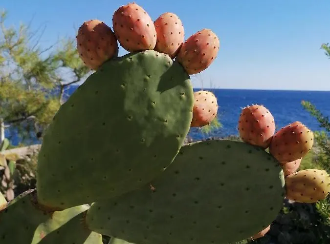 Marigiosa Salento 度假居 *